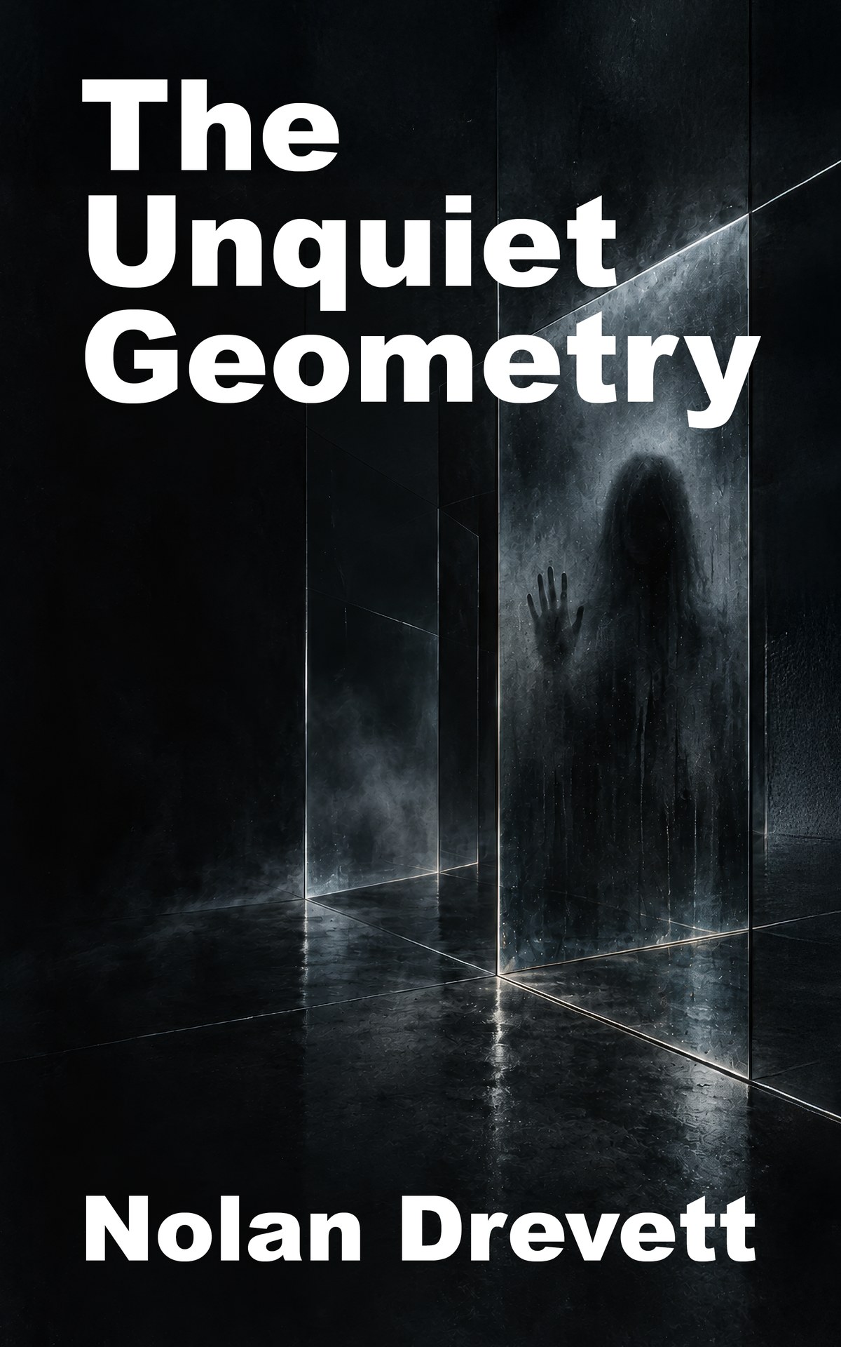 Omslag van The Unquiet Geometry